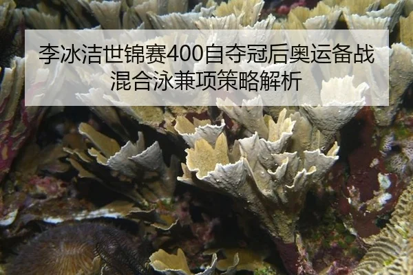 li-bing-jie-shi-jin-sai-zi-duo-guan-hou-ao-yun-bei-zhan-hun-he-yong-jian-xiang-ce-lve-jie-xi-3-784.jpg