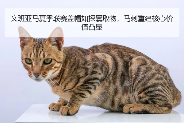 文班亚马夏季联赛盖帽如探囊取物，马刺重建核心价值凸显