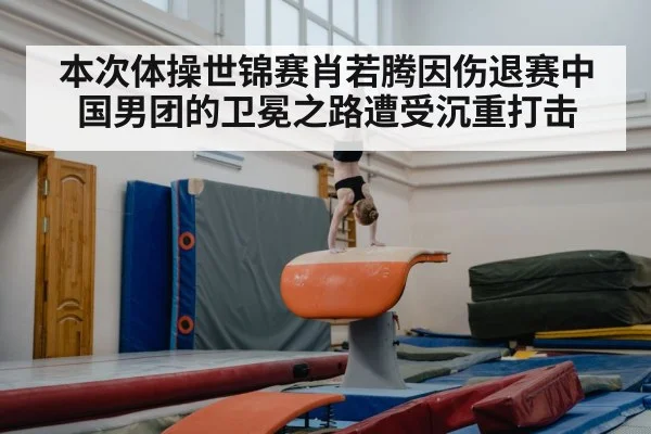young gymnast training